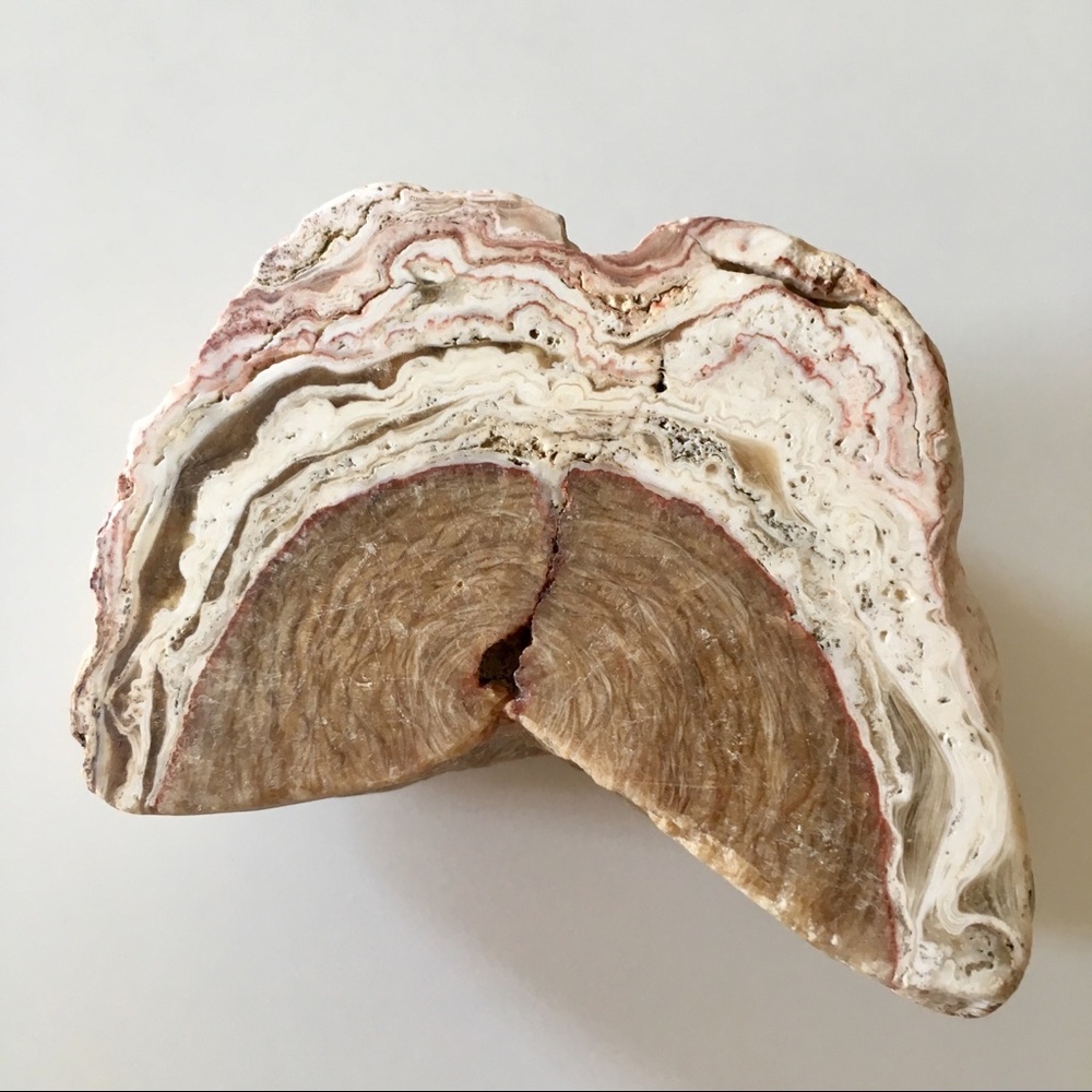 CALCITE BLADES SMOKY QUARTZ AGATE geode 843 grams